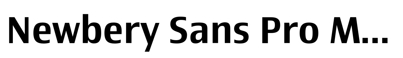 Newbery Sans Pro Medium